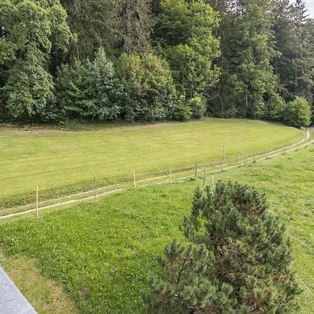Ferienwohnung Oberrisstraum Berwick-Upon-Tweed Ngoại thất bức ảnh